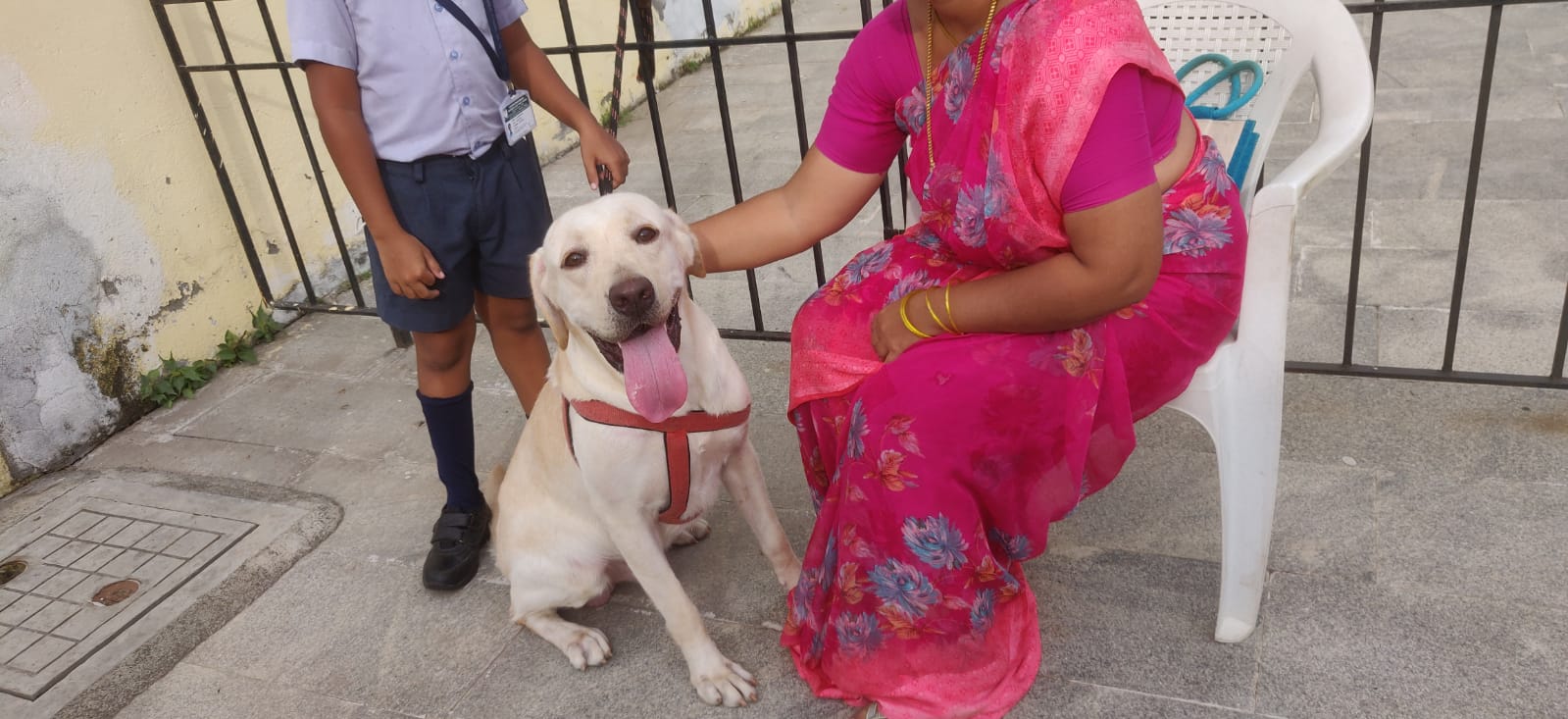WORLD ANIMAL WELFARE DAY